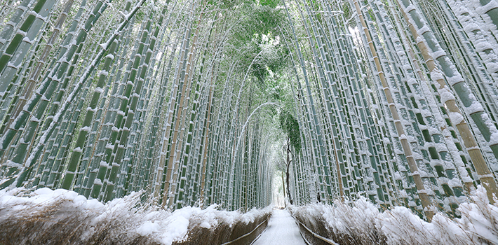 Winter in Japan: Where to visit and What to do