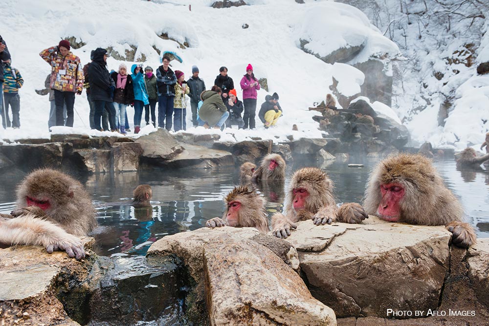 Winter in Japan