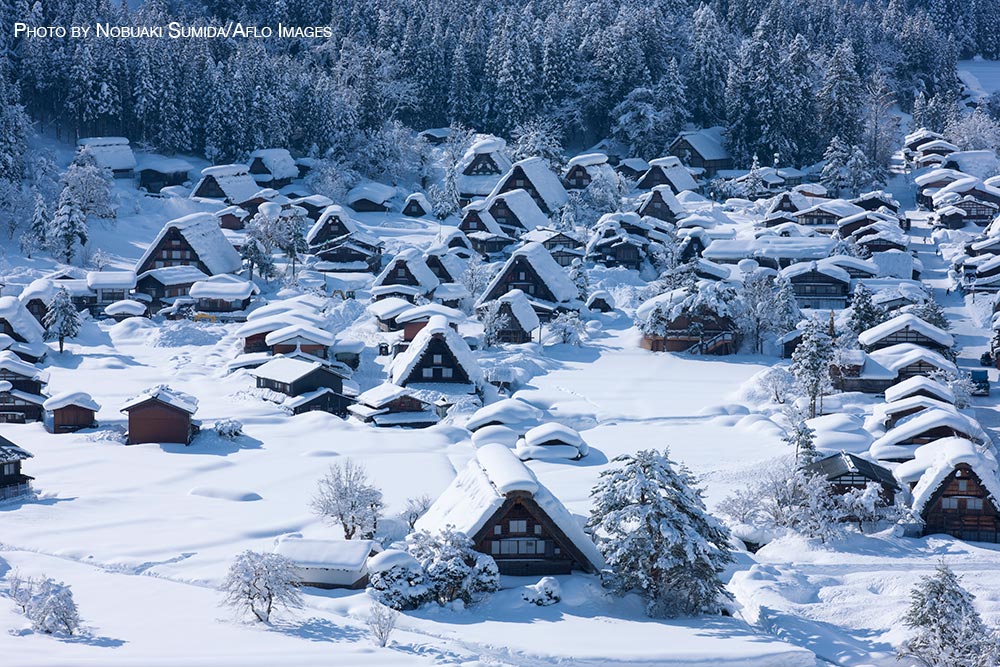 Winter in Japan