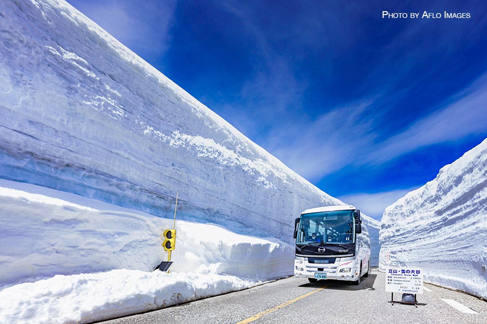 Winter in Japan