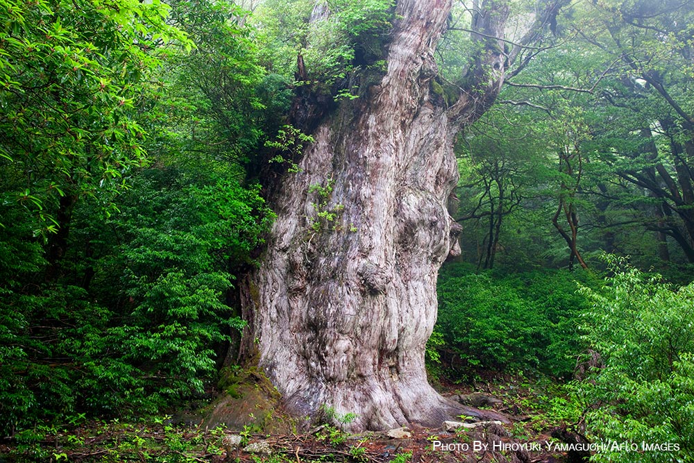 Anime locations in Japan