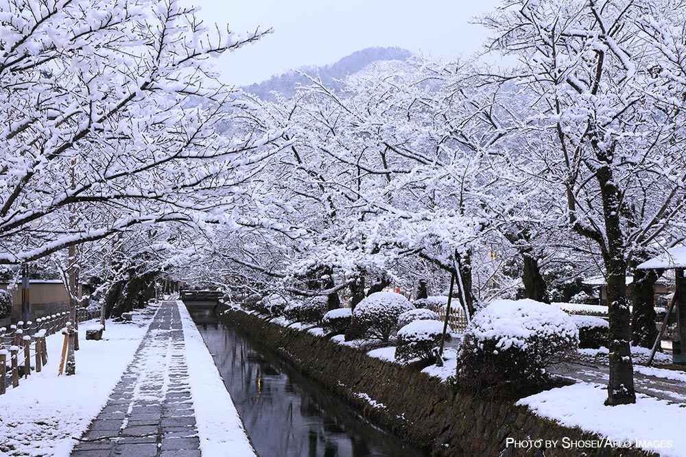 Winter in Japan