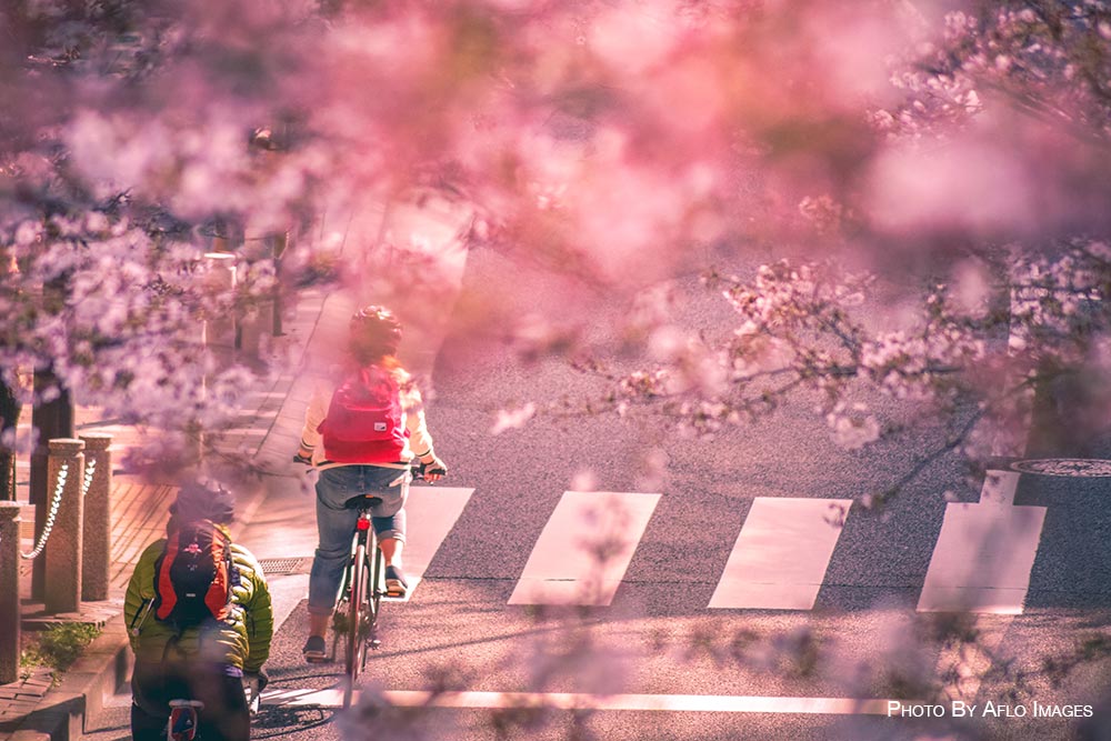 Spring in Tokyo