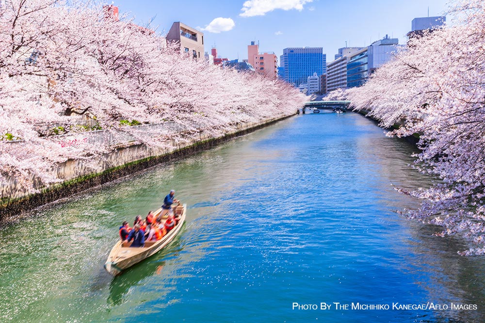 Spring in Tokyo