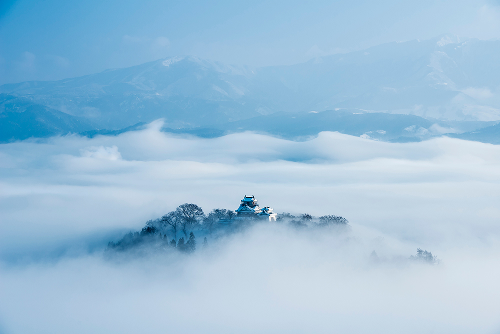 amazing images