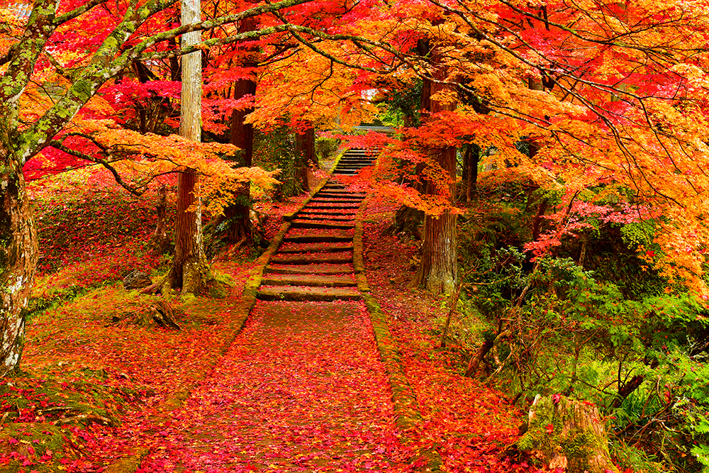 amazing images