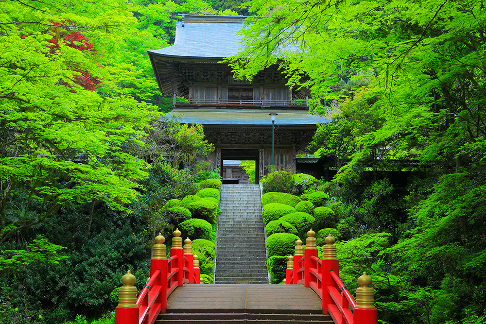 amazing images