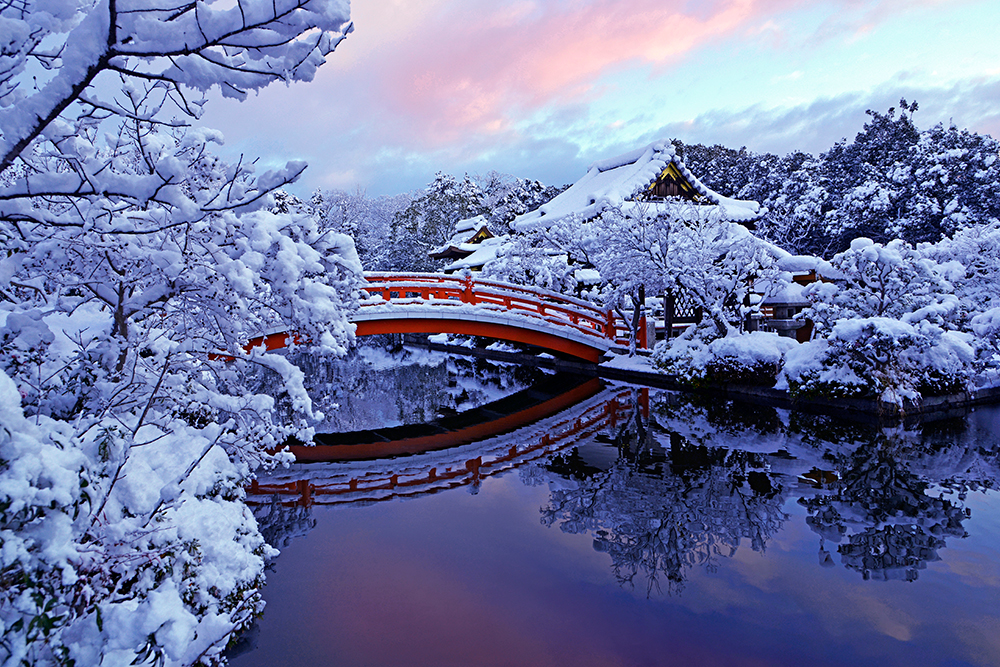 amazing images