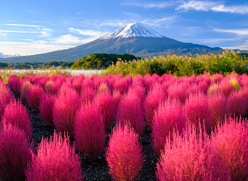 amazing images