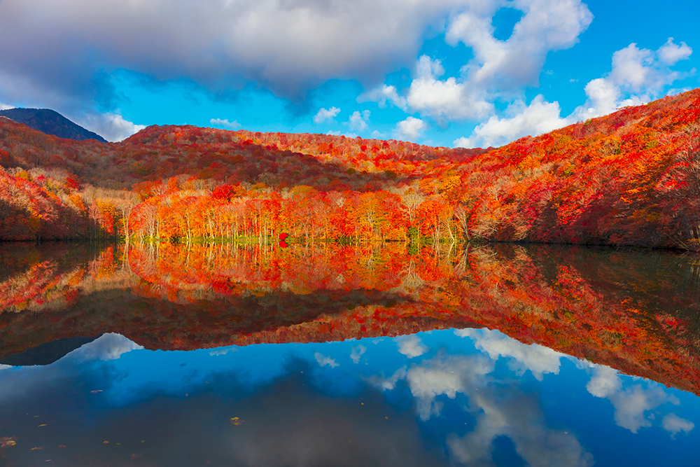 amazing images
