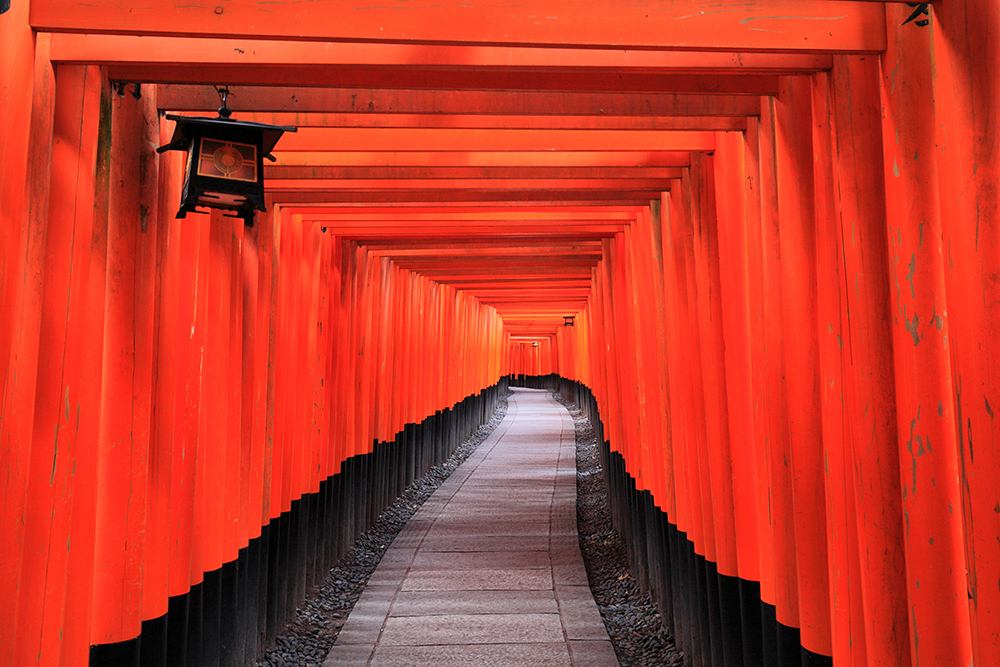 amazing images