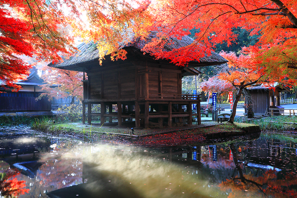 amazing images