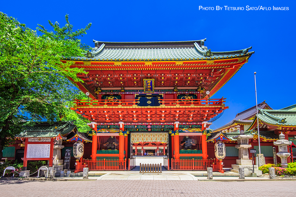 matsuri