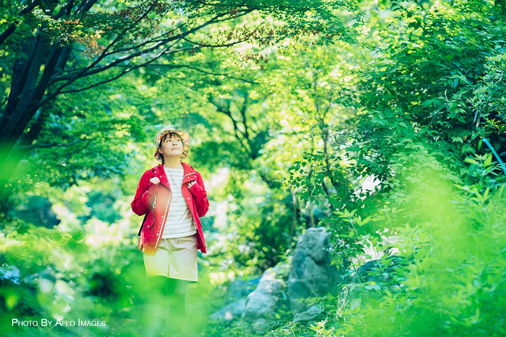 Japan summer