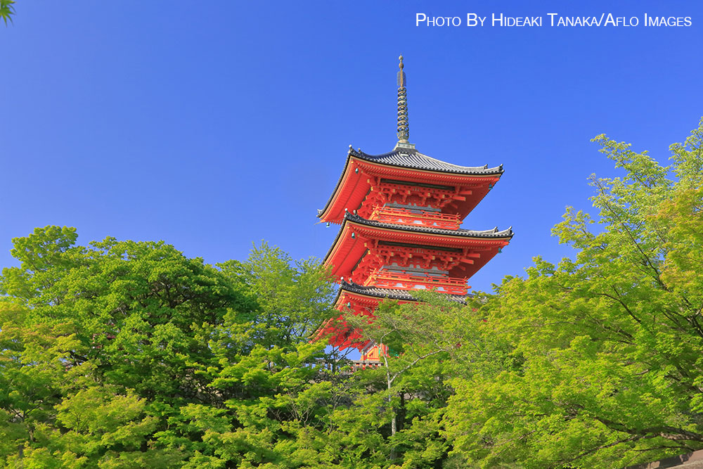 Summer in Japan