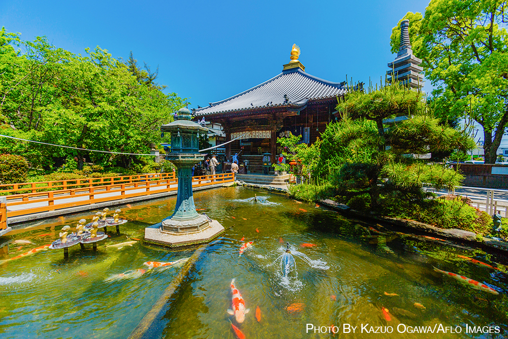 Shikoku pilgrimage