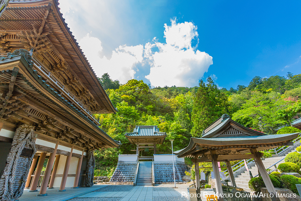 Shikoku pilgrimage