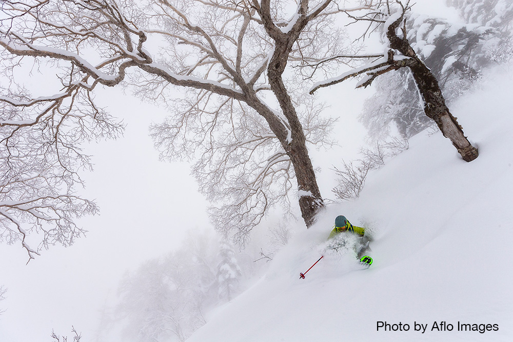 Japan top ski resorts