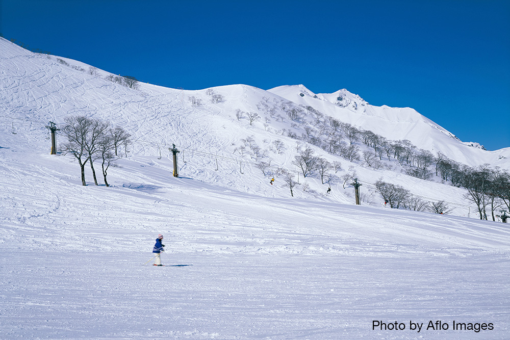 Japan top ski resorts