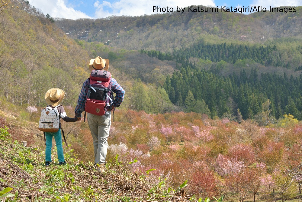 Japan best hiking trails