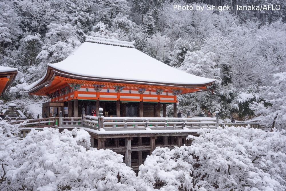 Photography Spots in Kyoto