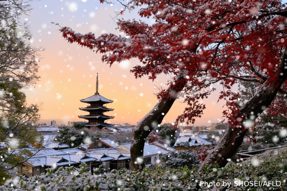 Photography Spots in Kyoto