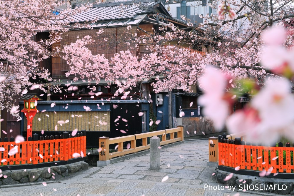 Photography Spots in Kyoto