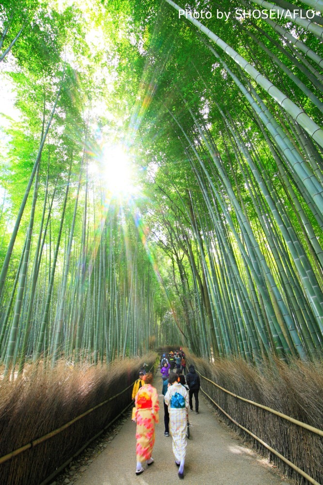 Photography Spots in Kyoto