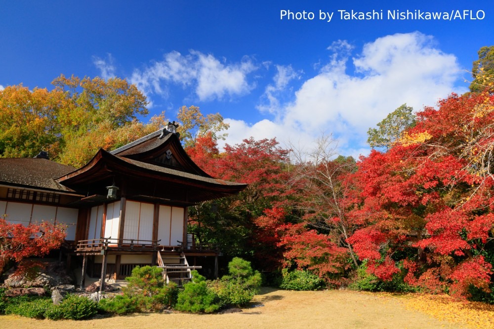Photography Spots in Kyoto