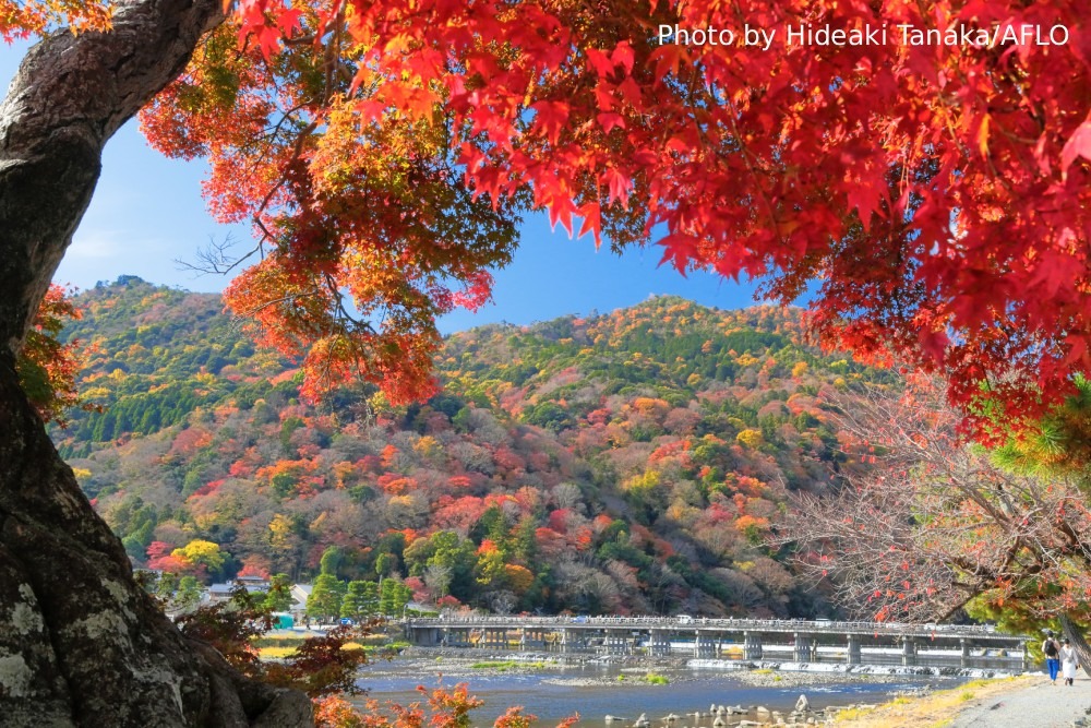 Photography Spots in Kyoto