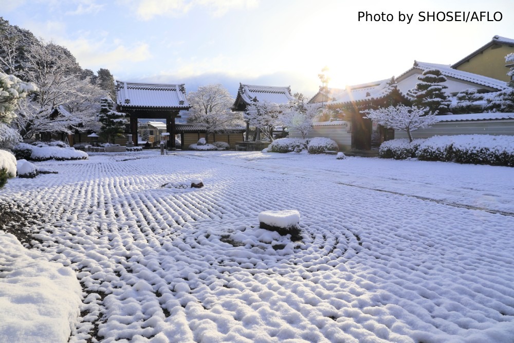 Photography Spots in Kyoto