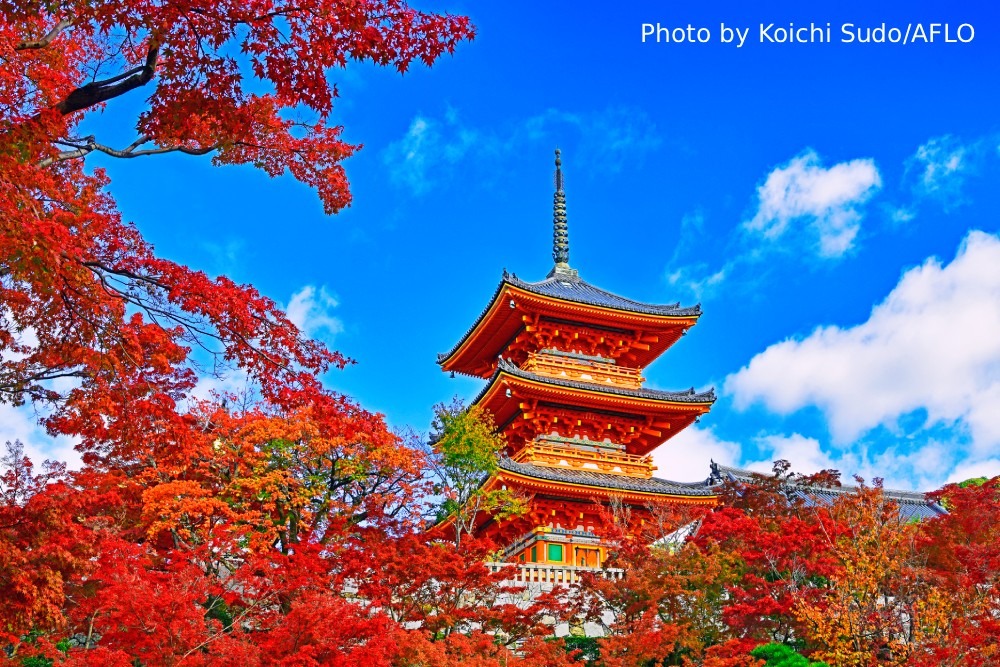Photography Spots in Kyoto